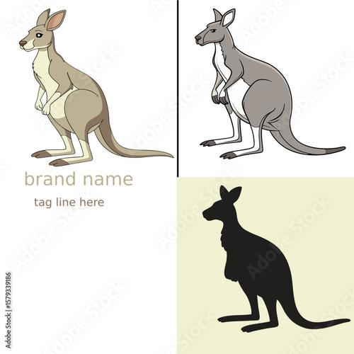 kangaroo vector illustration