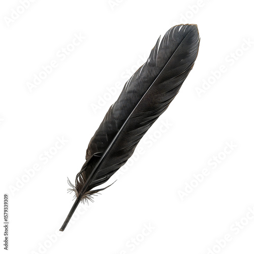 Close-up of a single dark feather.  It's long and pointed, with intricate barbs.  Against a pure black background