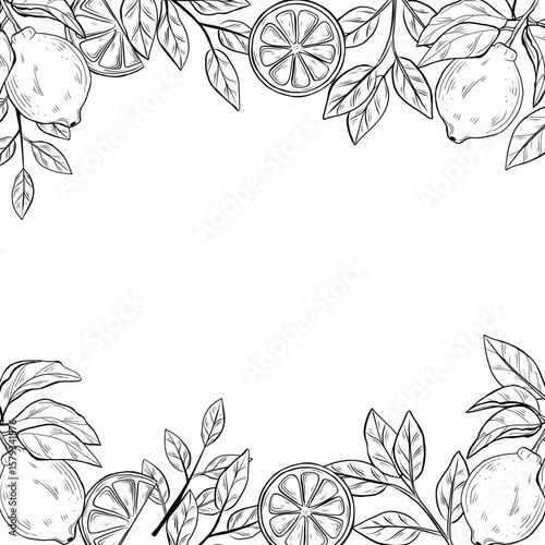 Frame or border with lemons, line art vector, and citrus fruits. Border illustration, perfect for packaging, invitations, labels, and summer-themed designs.