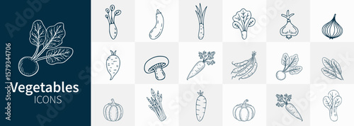 Fresh vegetables icons set featuring natural, hand-drawn illustrations of various vegetables like carrot, radish, eggplant, and pumpkin for culinary and health themes.