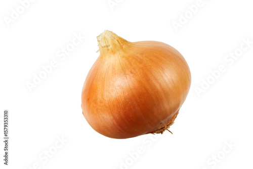 Wallpaper Mural brown onion isolated on white or transparent png Torontodigital.ca