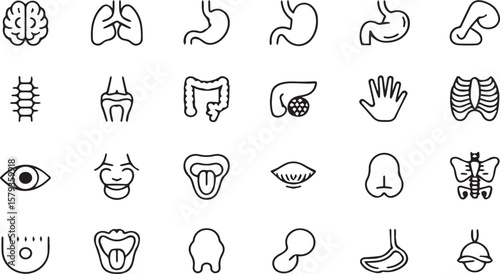 Line Art Human Organs Icons for Medical, Health, and Science Concepts png transparent vector design illustration 

