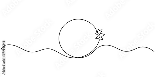 Continuous linear drawing of pomegranate. One line drawing garnet. Pomegranate in one line style. Vector illustration, Pomegranate in Continuous single one line drawing.  One line drawing of fruit.