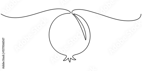 Continuous linear drawing of pomegranate. One line drawing garnet. Pomegranate in one line style. Vector illustration, Pomegranate in Continuous single one line drawing.  One line drawing of fruit.