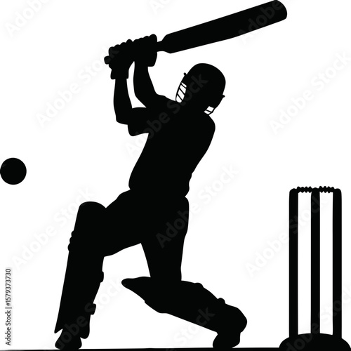 Cricket Batsman Hitting Ball Silhouette - Dynamic Sports Action