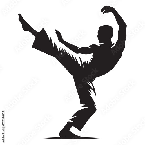 Silhouette Karate Stance: Martial Arts Movement and Self Defense