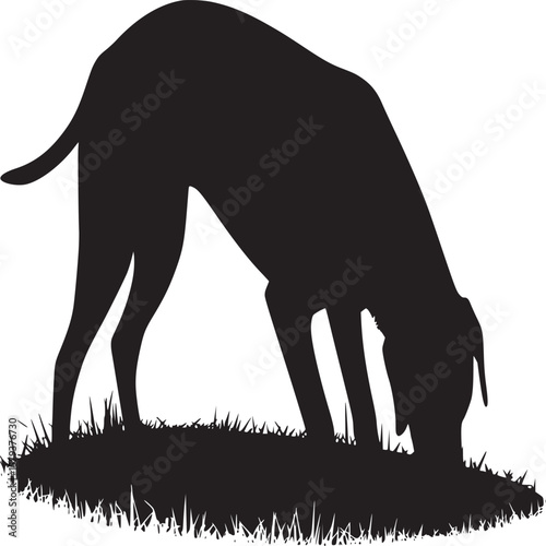 Black dog sniffing ground silhouette vector illustration for pet lovers and dog training resources online