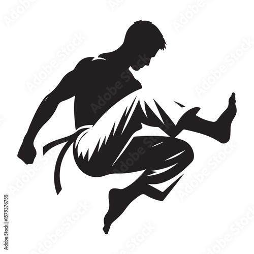 Dynamic Martial Arts Silhouette Showcasing Skill and Precision in Action