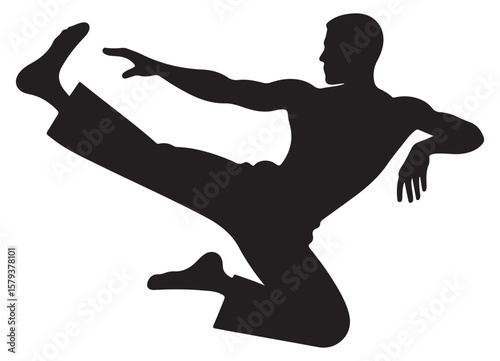 Dynamic Silhouette Art of a Person Doing a Martial Arts Kick