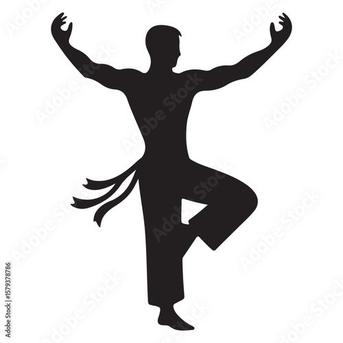 Graceful Silhouette of a Martial Artist in Mid-Action