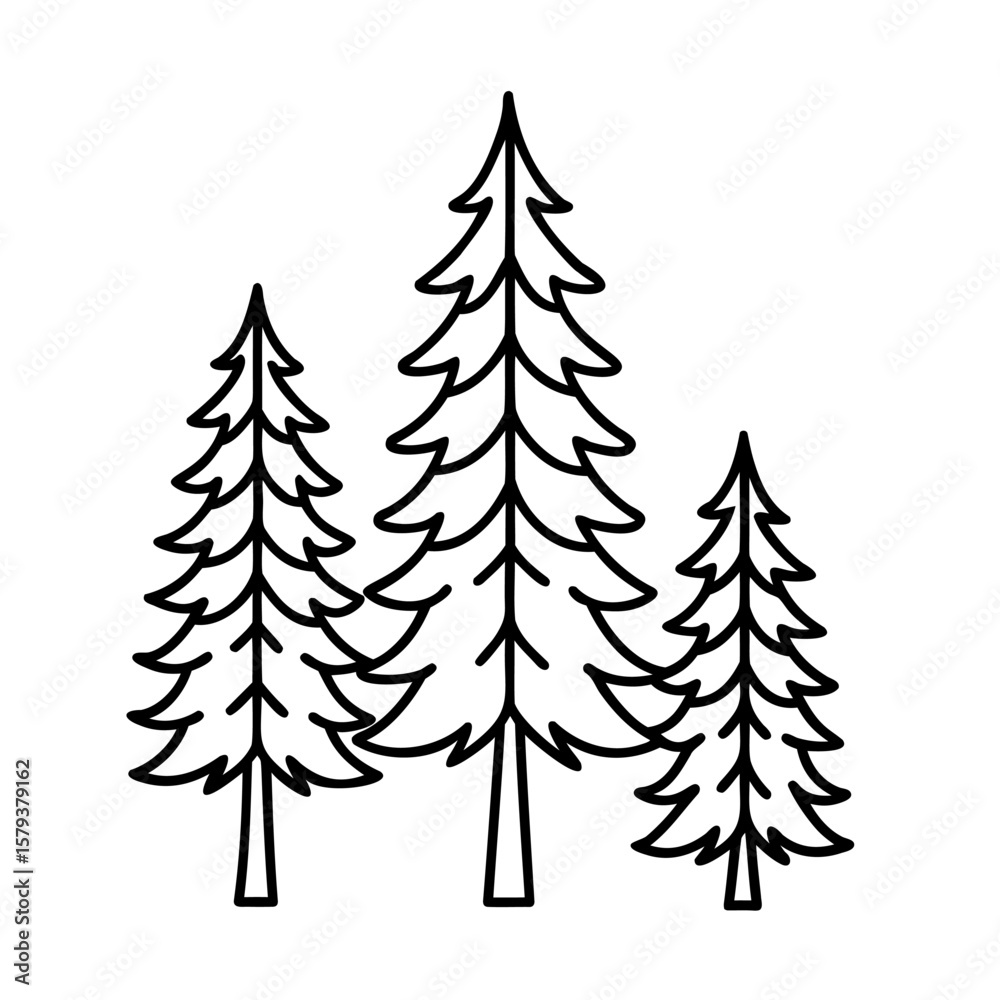 Obraz premium Outline three fir trees with varying sizes on a pine evergreen