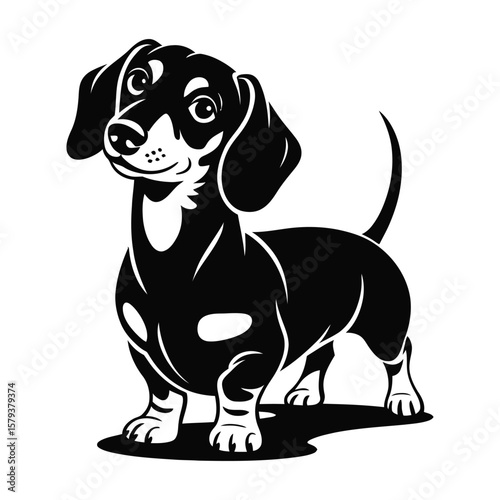Clean vector illustration of black dachshund in dynamic pose looking back with playful expression on white background
