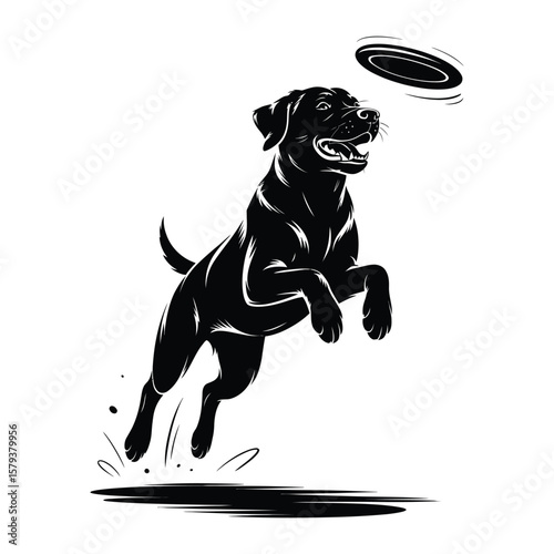 Clean vector illustration of leaping Labrador silhouette joyfully chasing frisbee in dynamic black and white style