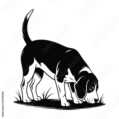 Silhouette vector of beagle sniffing the ground in classic hunting pose with nose close to surface, black and white