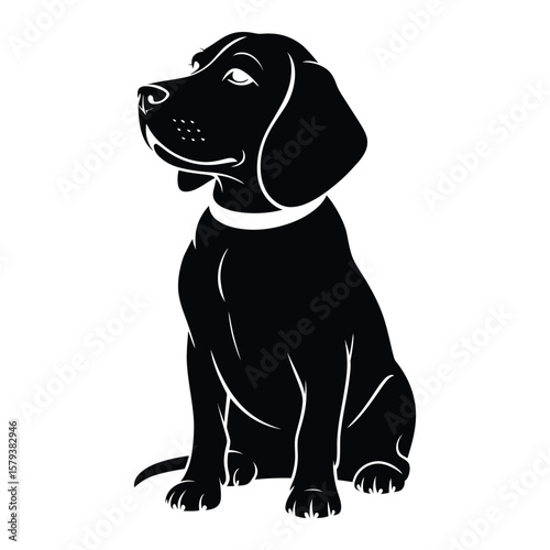 Silhouette vector of sitting beagle with perked ears and visible collar, isolated in black and white