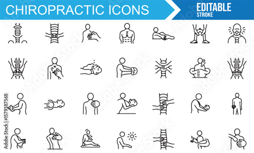 Icons representing various chiropractic techniques and posture corrections.