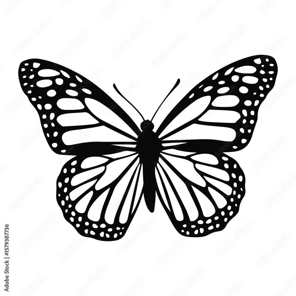 Fototapeta premium Butterfly Silhouette Vector Illustration Design