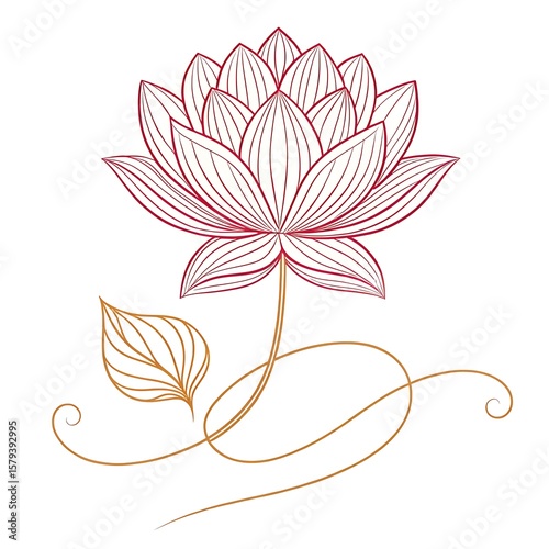 lotus flower vector illustration