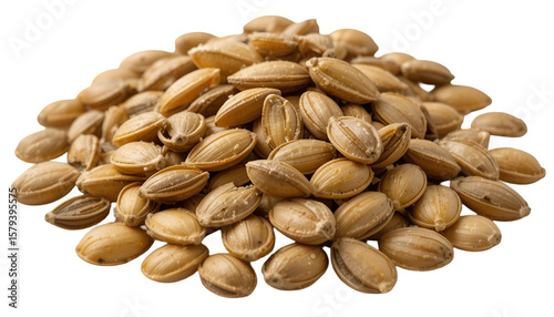 Pile of glistening, toasted barley grains, a nutritious cereal with a subtle nutty flavor isolated on transparent background