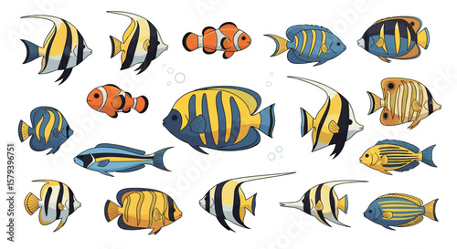 A vivid collection of tropical aquarium fish showcasing diverse species and bright colors for marine life enthusiasts