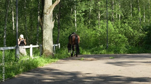 A brown horse with saddle grazing near a tree, surrounded by green forest and a white wooden fence on a sunny day.	Woman films horse on smartphone. 