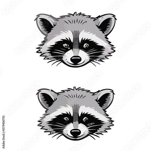 A raccoon sits up from the coffin with a look of disdain and a menacing look in its eyes.