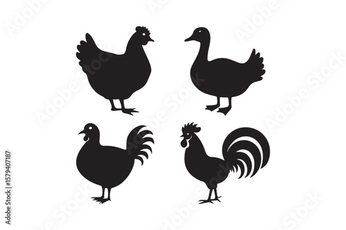 Four black silhouettes of farm birds including chickens and ducks