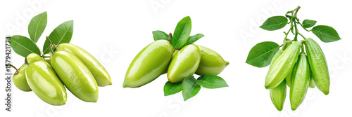 Wallpaper Mural Set of bilimbi fruit with leaves isolated on transparent background Torontodigital.ca