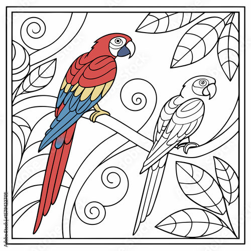 vector illustration of a parrot