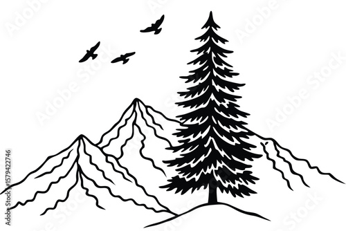 Silhouette of Two Pine Trees on Mountain Peak with Birds