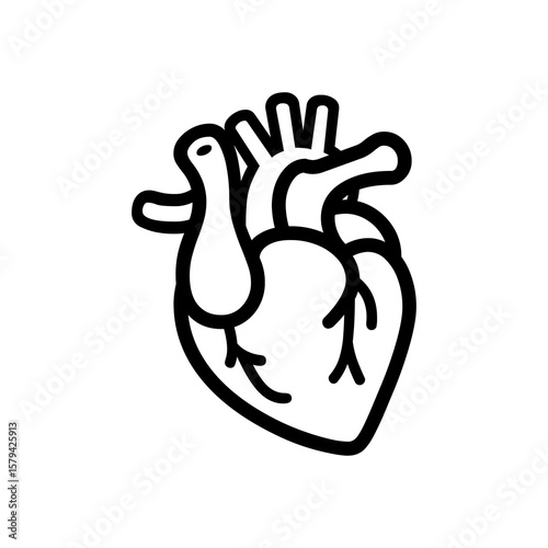 Graphic depicts an anatomical heart with bold outlines, ideal for medical diagrams, health awareness campaigns, and related cardiology design projects.