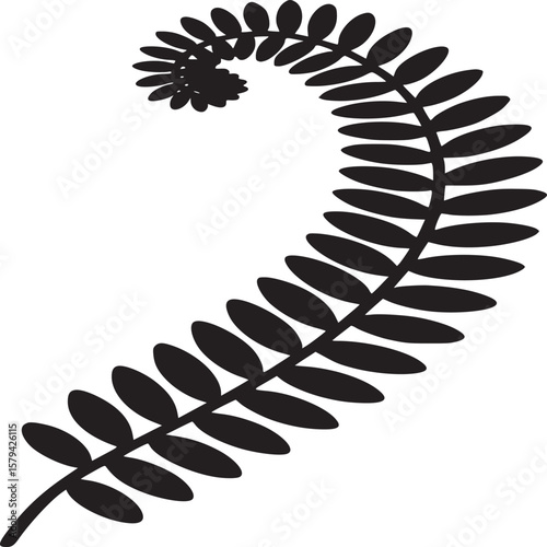 Black silhouette of a fern frond with spiraling tip on a white background in a minimalist style
