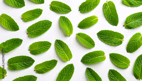 Fresh Green Mint Leaves - Aromatic Herb for Cooking & Drinks