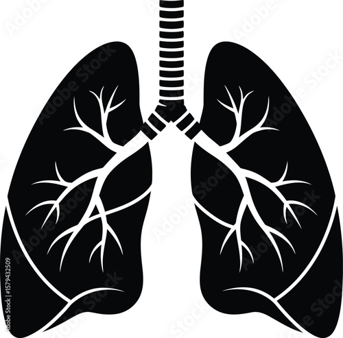 Black Human Lungs with Bronchi - AI Generative
