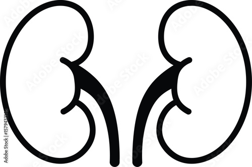 Black Outline Human Kidneys - AI Generative
