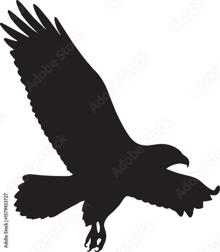 Majestic Hunters of the Sky: The Hawk in Nature silhouettes black and white 