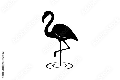 Black Silhouette of a Flamingo Standing in Water