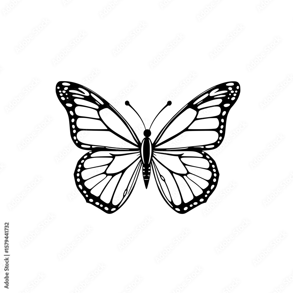 Fototapeta premium Monarch Butterfly Line Art: An elegant monochrome illustration depicting a monarch butterfly's intricate wing patterns and delicate body.