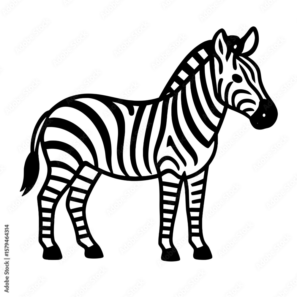 Fototapeta premium Zebra standing with distinctive black and white stripes