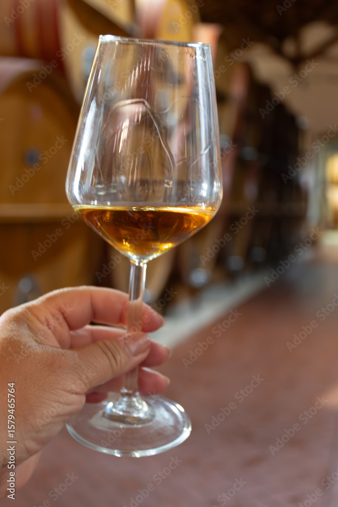 Obraz premium Visit of wine cellar with old large oak barrels, hand holding glass of fortified dry or sweet tasty marsala wine from barrels in Marsala, Sicily, Italy