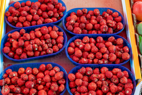 Box of fresh aromatic ripe red wild fragolino strawberries for sale in small town Nemi, Castelli Romani, near Rome, Italy