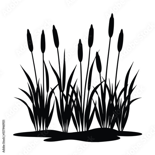 grass and flowers vector illustration