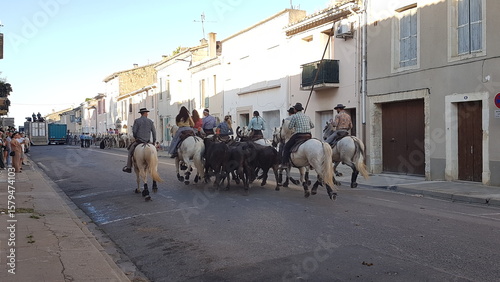 Abrivado Bandido