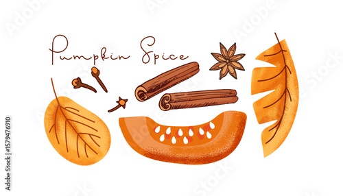 Pumpkin Spice calligraphy lettering, pumpkin vegetable slice and spices food and drinks. Fall season product. Cinnamon and cloves, anis star spices Vector illustration for scrapbooking, poster, card.