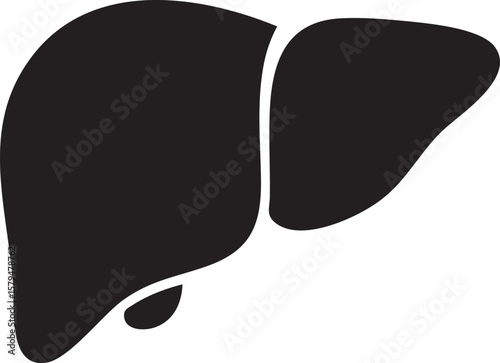 Human Liver Silhouette Illustration Anatomy of Internal Organ Medical Diagram Black and White Healthcare Concept