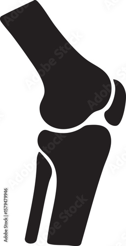 Simple Black Silhouette of a Human Knee Joint Anatomy on a White Background