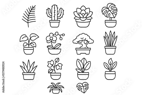 Botanical line art featuring various plant species and styles