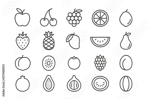 Selection of various vegetables illustrated in simple line art style for educational purposes
