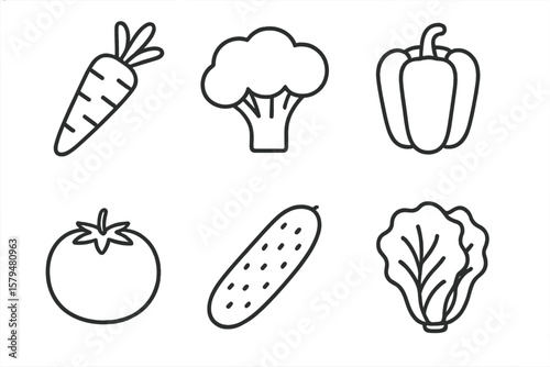 Collection of various vegetables illustrated in simple line art style suitable for educational or design purposes