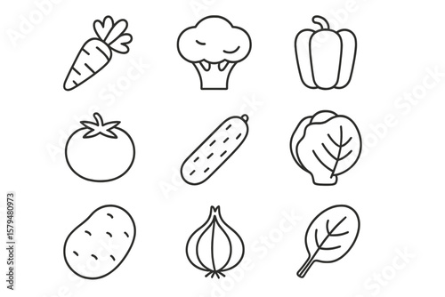 Variety of vegetables illustrated in a minimalist style on a white background for educational purposes